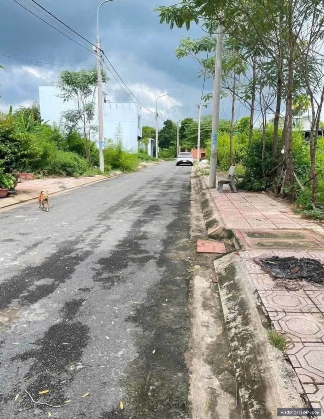 Bán đất tái định cư tại Tân Phong, Biên Hòa (90m²) - Hình ảnh 2