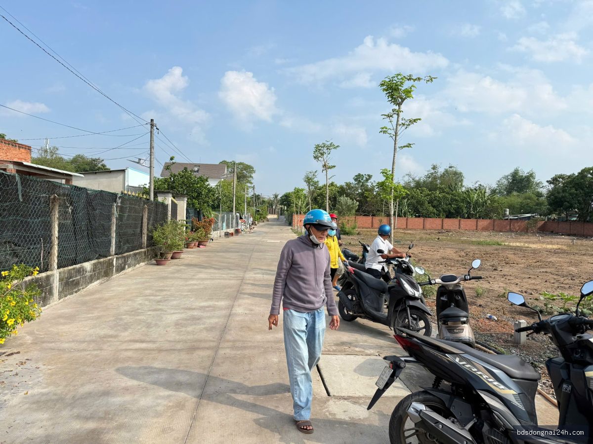 Bán nhà phố (115m²) - Hình ảnh 4