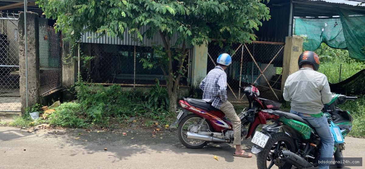 Cho thuê nhà cấp 4 gần chợ - Hình ảnh 3