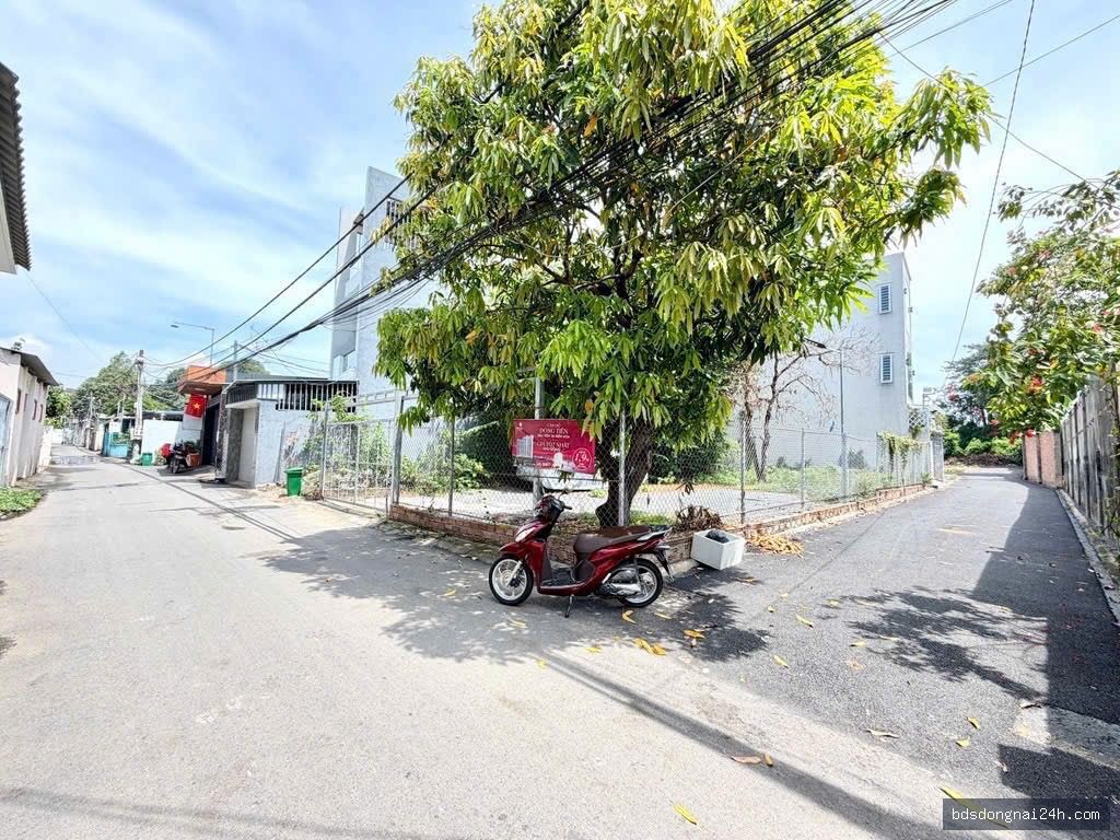 Bán cặp đất nền tại Hiệp Hòa, Biên Hòa (65.6m²) - Hình ảnh 3