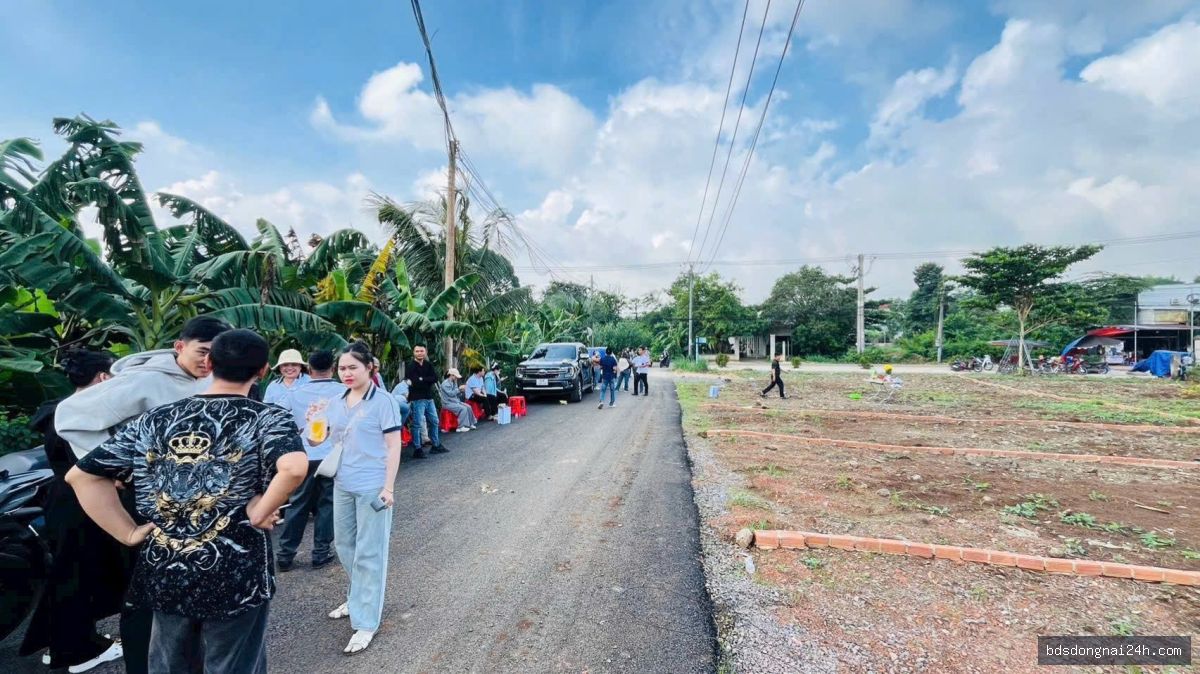 Bán bất động sản gần chợ - Hình ảnh 7