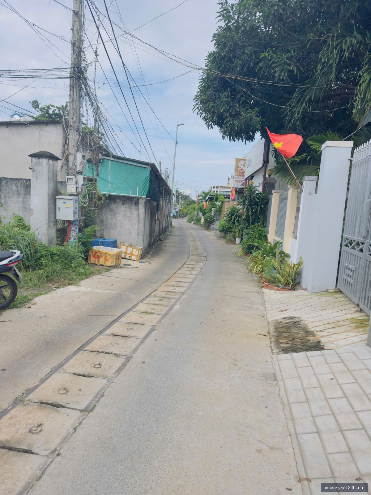 Bán đất nền mặt tiền - Hình ảnh 6