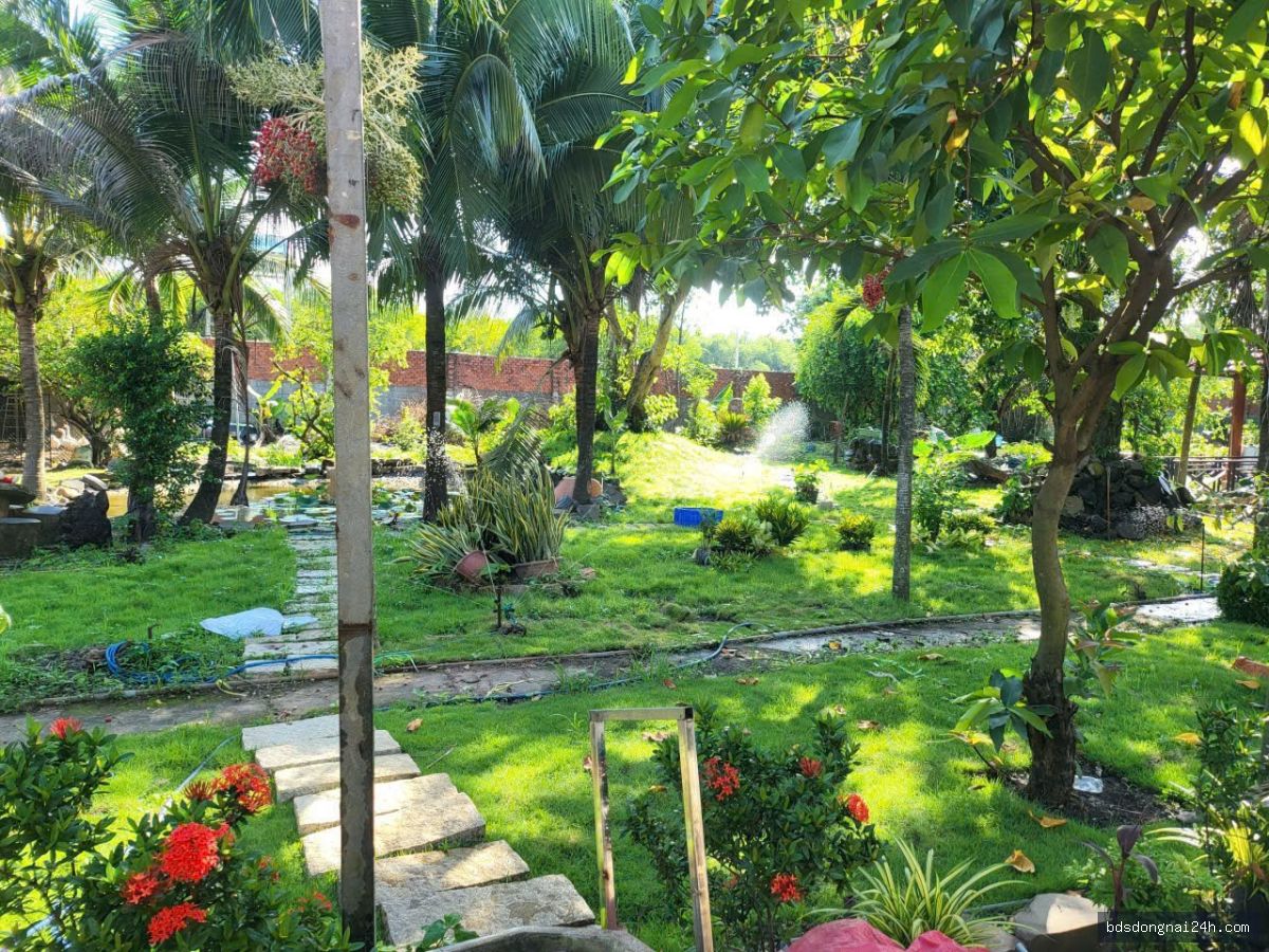 Nổi bật