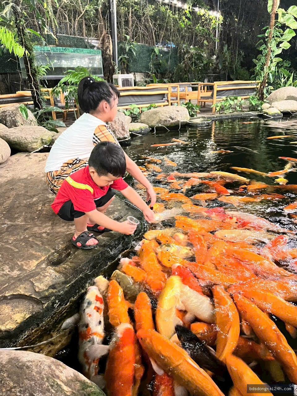 Cho thuê mặt bằng kinh doanh tại Quyết Thắng, Biên Hòa (1600m2) - Hình ảnh 6