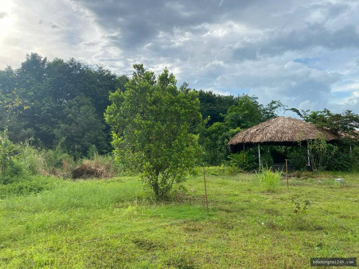 Bán biệt thự tại Vĩnh Cửu (1216m²) - Hình ảnh 5