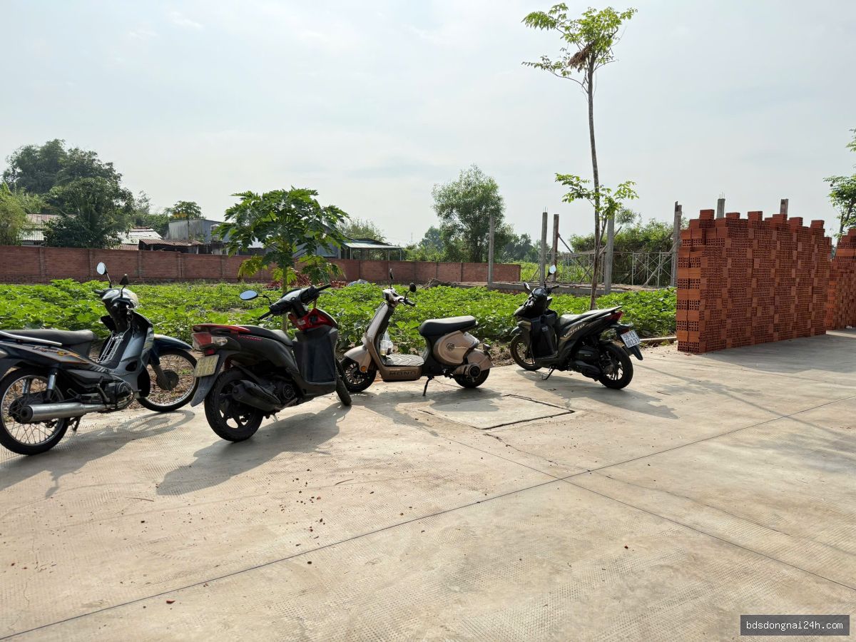 Bán nhà phố (115m²) - Hình ảnh 3