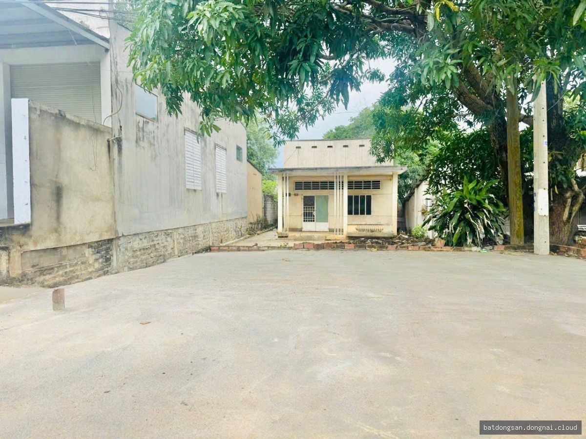 Bán nhà phố mặt tiền tại Long Thành (369m²) - Hình ảnh 4