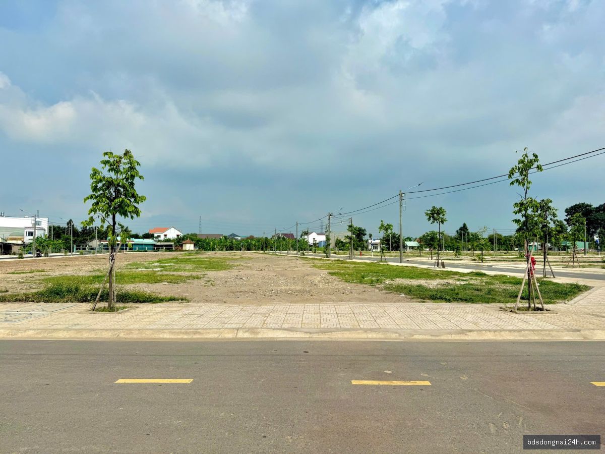 Bán đất tái định cư mặt tiền (80m²) - Hình ảnh 3