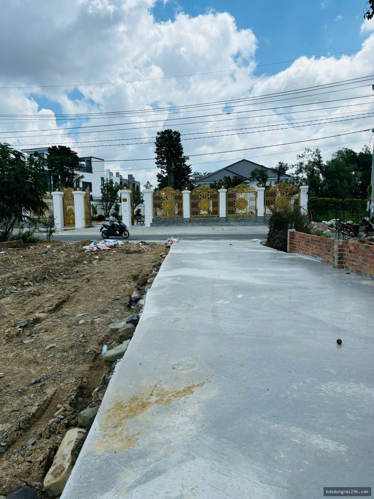 Bán bất động sản tại Tân Triều (264m²) - Hình ảnh 3