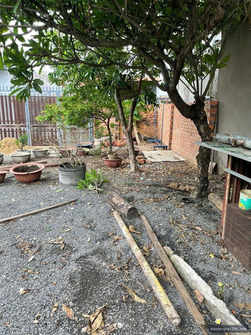 Nổi bật