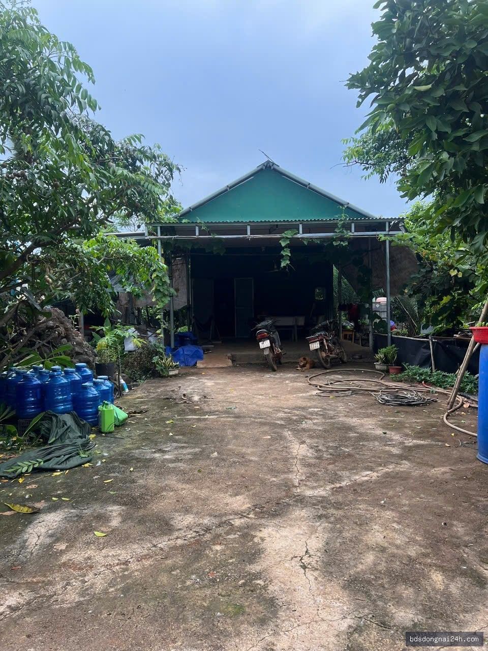 Bán bất động sản tại Long Thành (11.000m2) - Hình ảnh 10