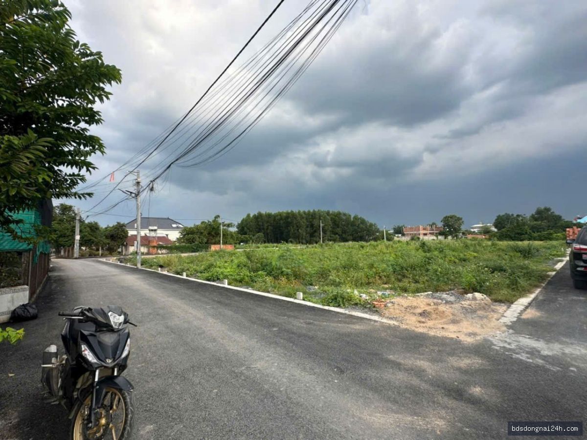 Bán đất thổ cư 100% - Hình ảnh 2