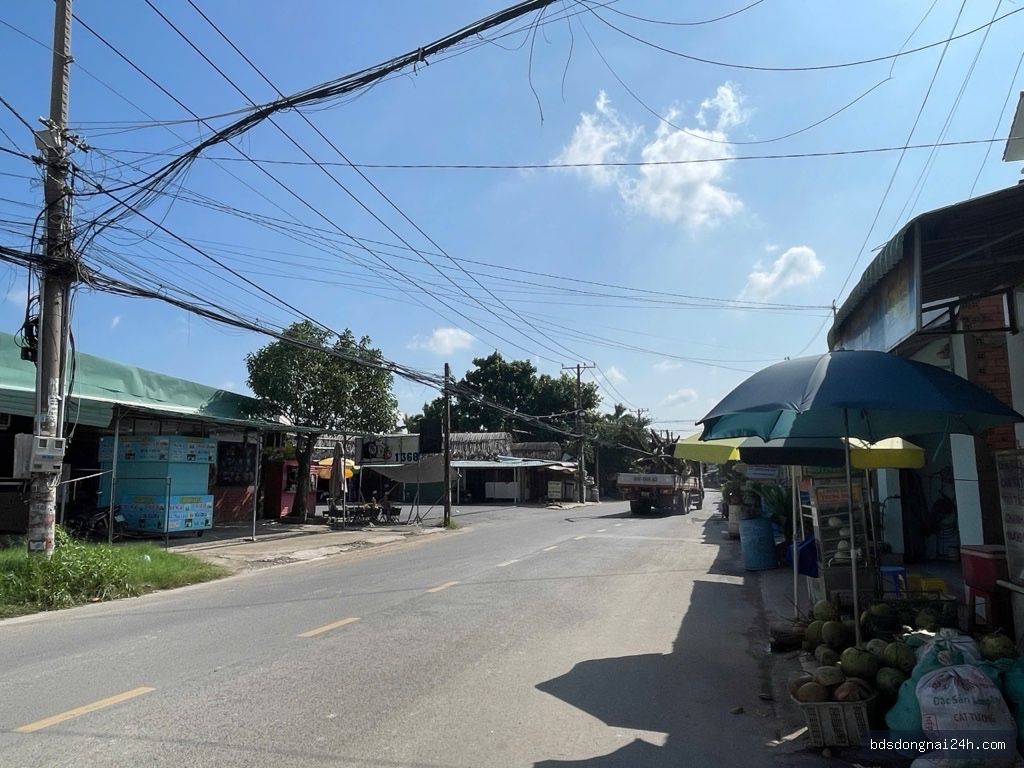 Nổi bật