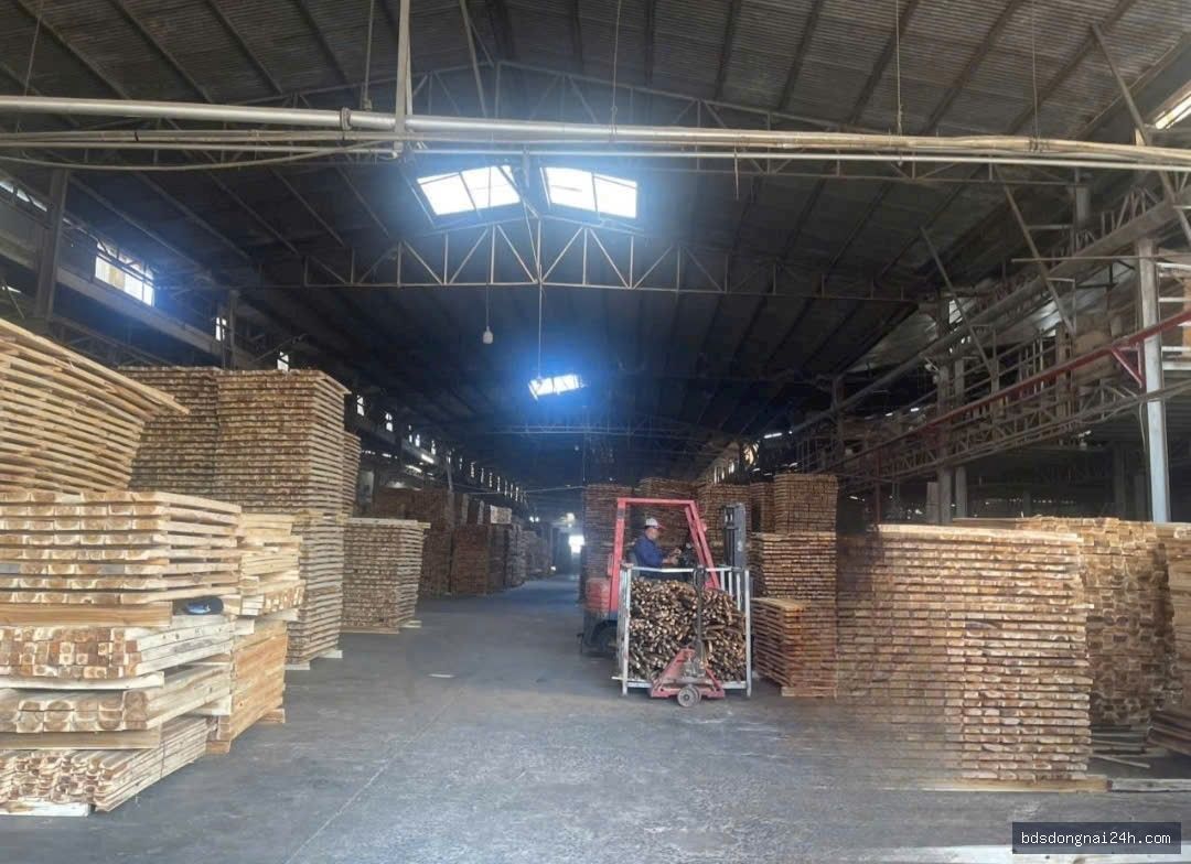 Cho thuê kho xưởng tại Hố Nai, Biên Hòa (5300m2) - Hình ảnh 7