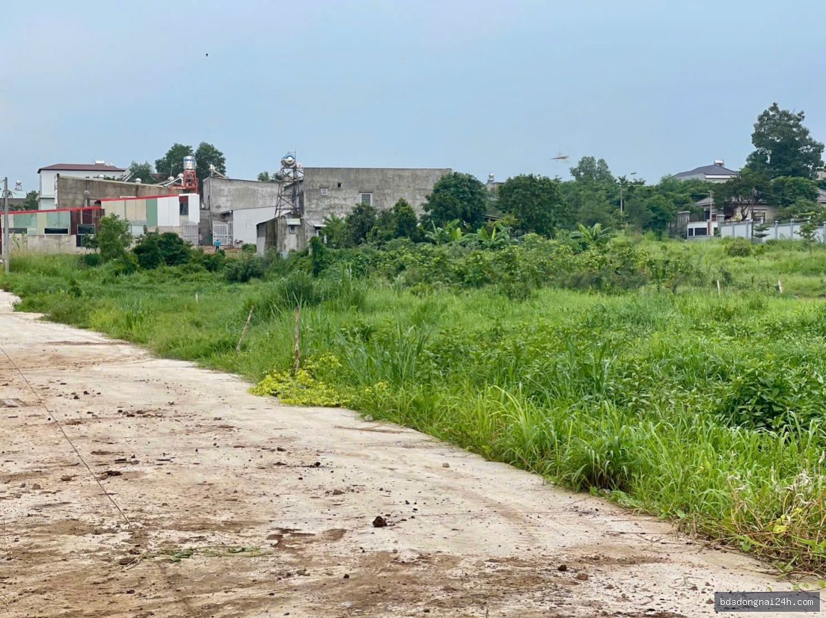 Bán đất nền tại Trảng Bom (100m²)
