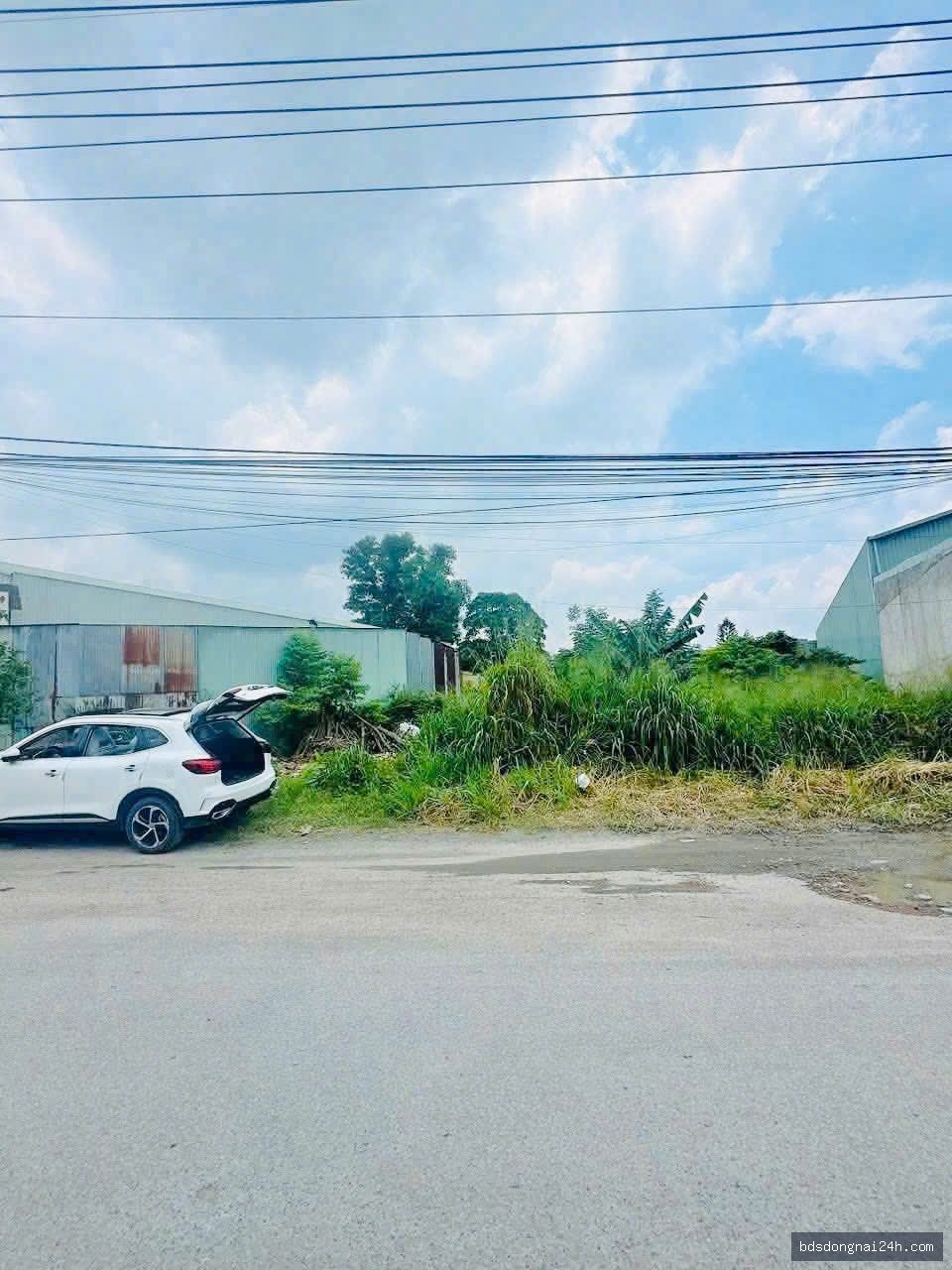 Bán mặt bằng kinh doanh mặt tiền, gần chợ tại Trảng Dài, Biên Hòa (200m²) - Hình ảnh 2
