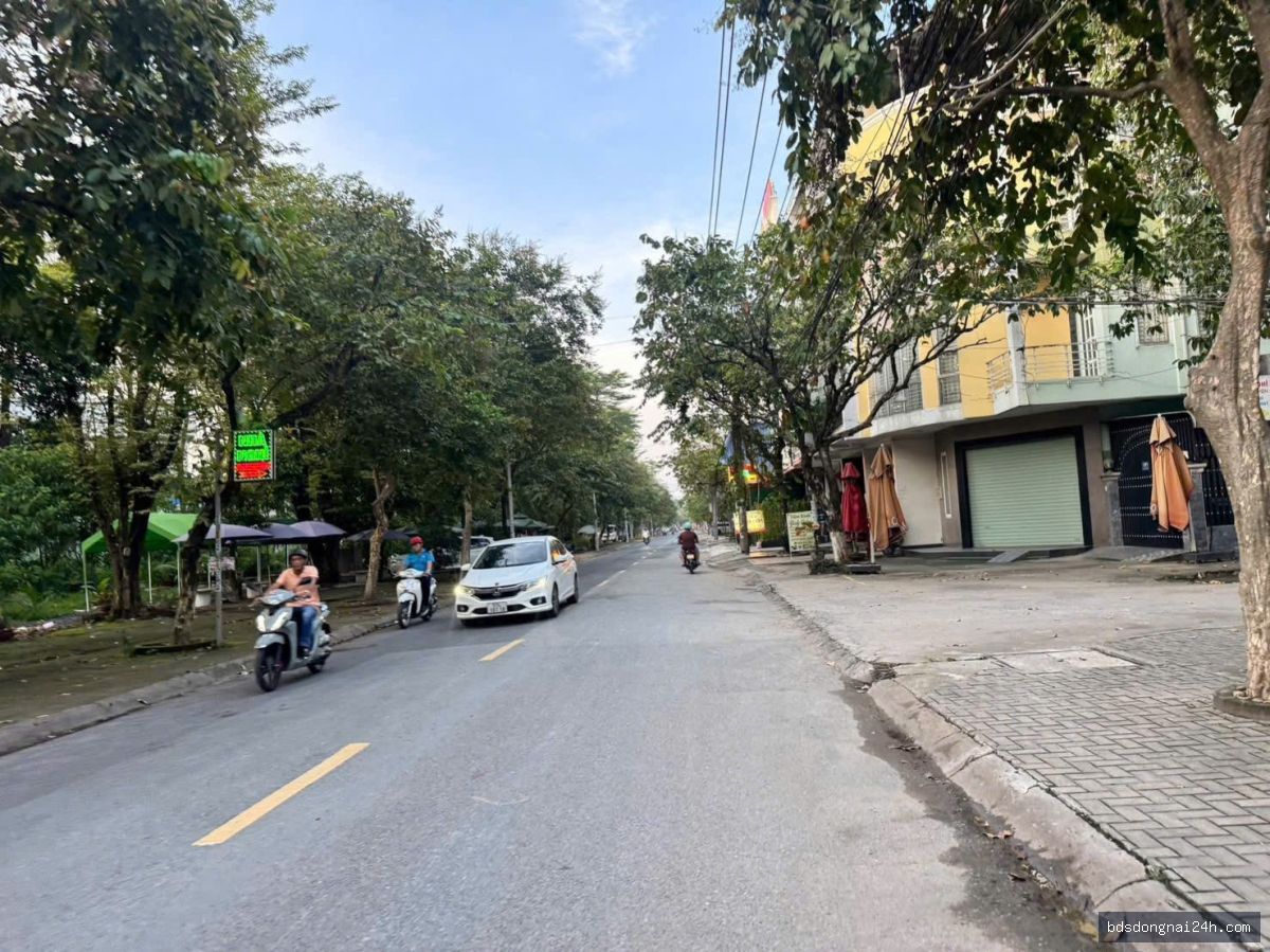 Bán mặt bằng kinh doanh mặt tiền (115m²) - Hình ảnh 4