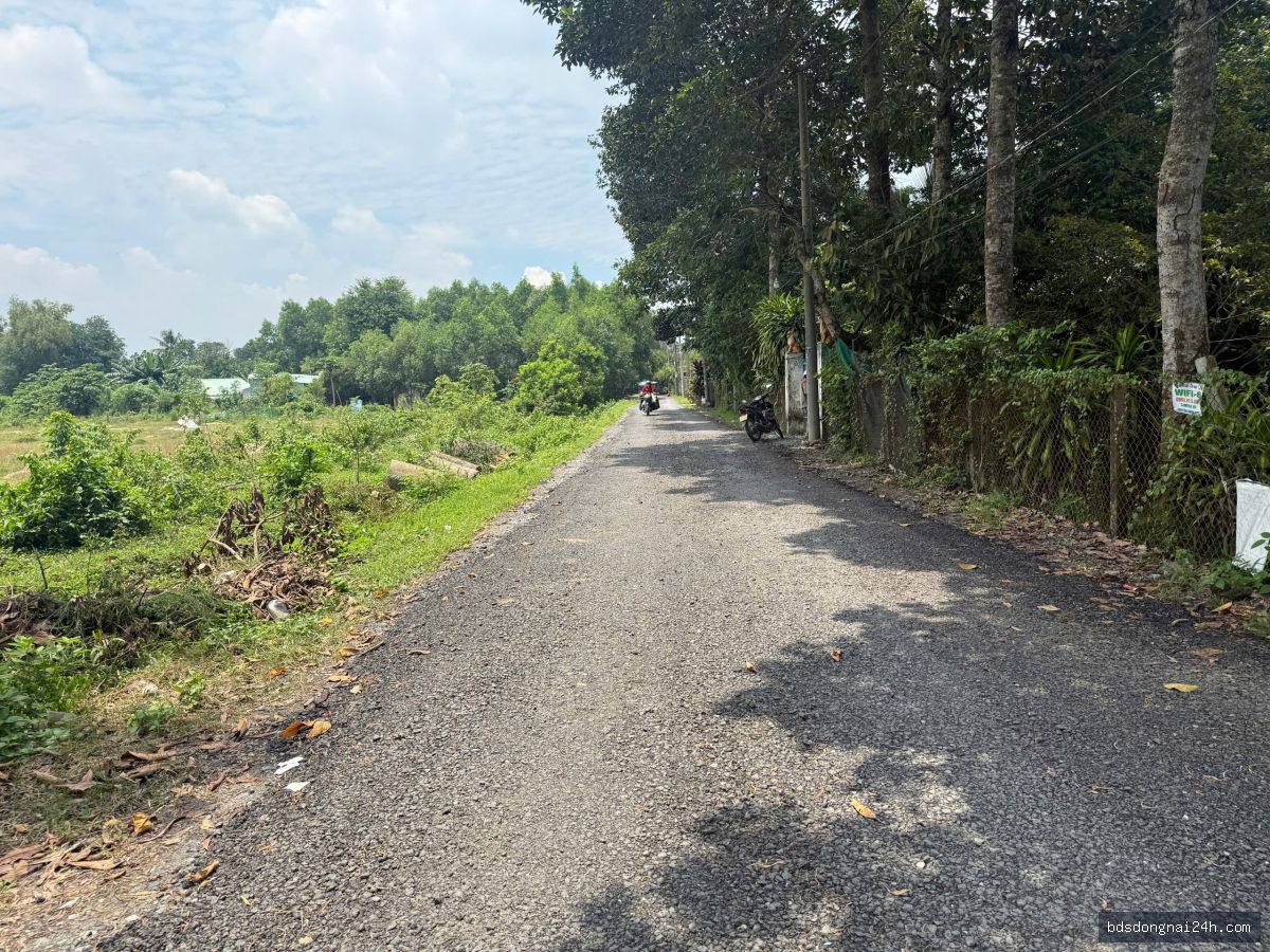 Bán biệt thự - Hình ảnh 5