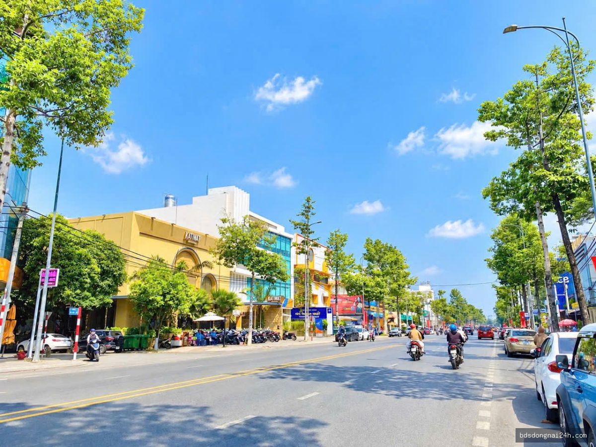 Cho thuê mặt bằng kinh doanh KDC D2D (450m²) - Hình ảnh 5