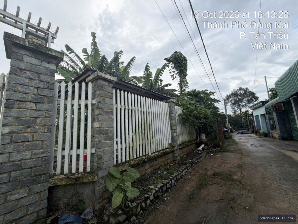 Nổi bật