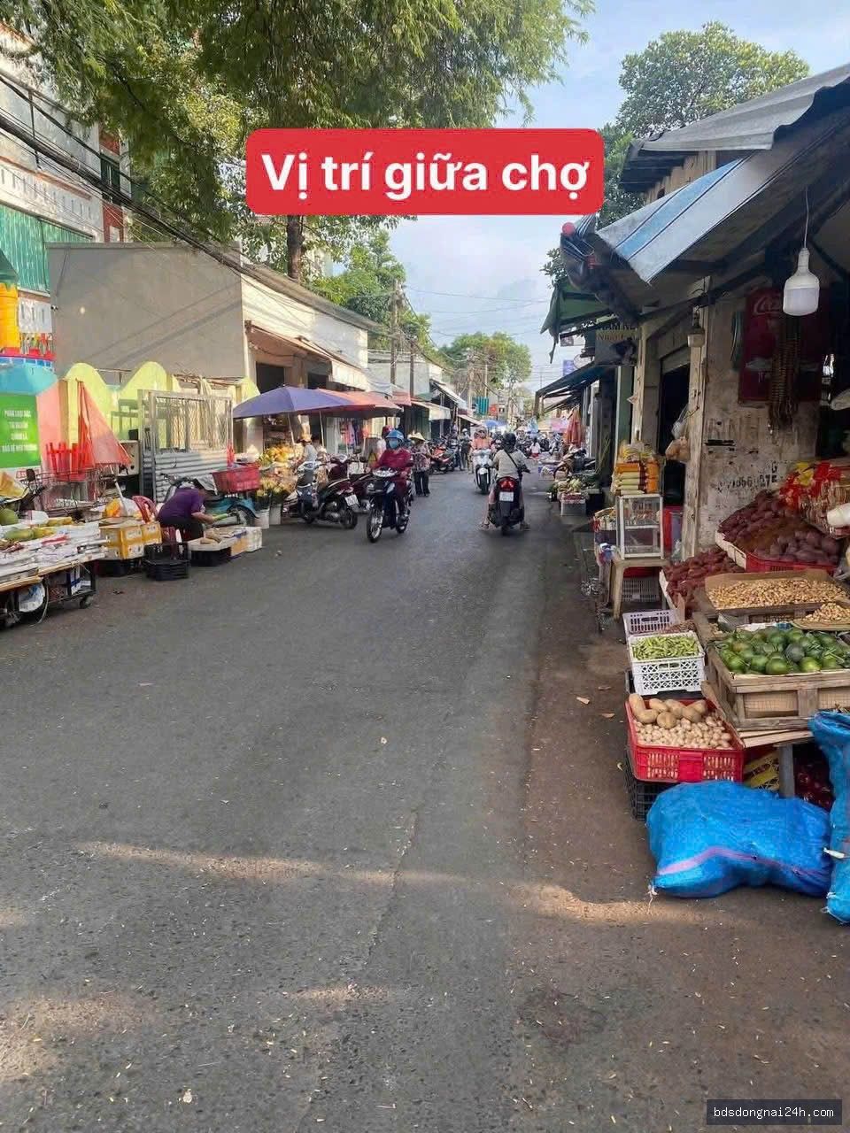 Nổi bật