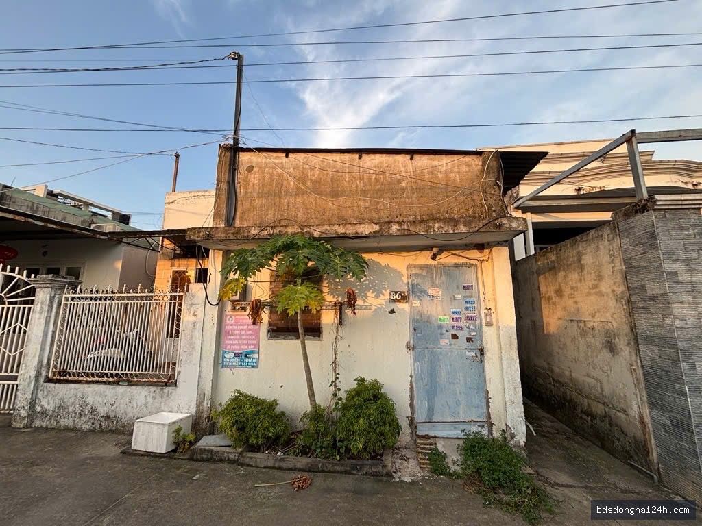 Bán đất thổ cư 100% tại Tân Hiệp, Biên Hòa (100m²) - Hình ảnh 3