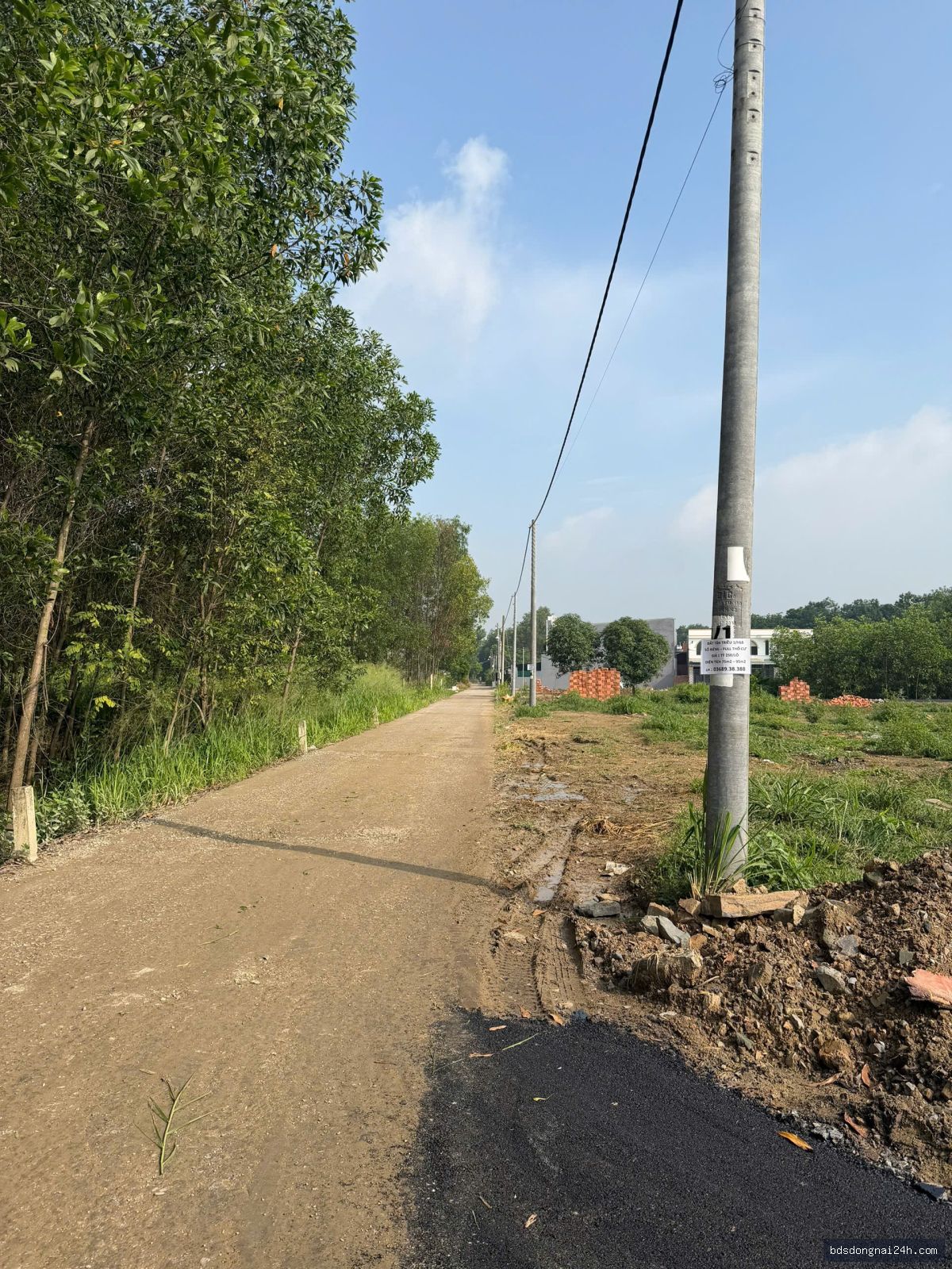 Bán đất nền tại Tân Triều - Hình ảnh 3