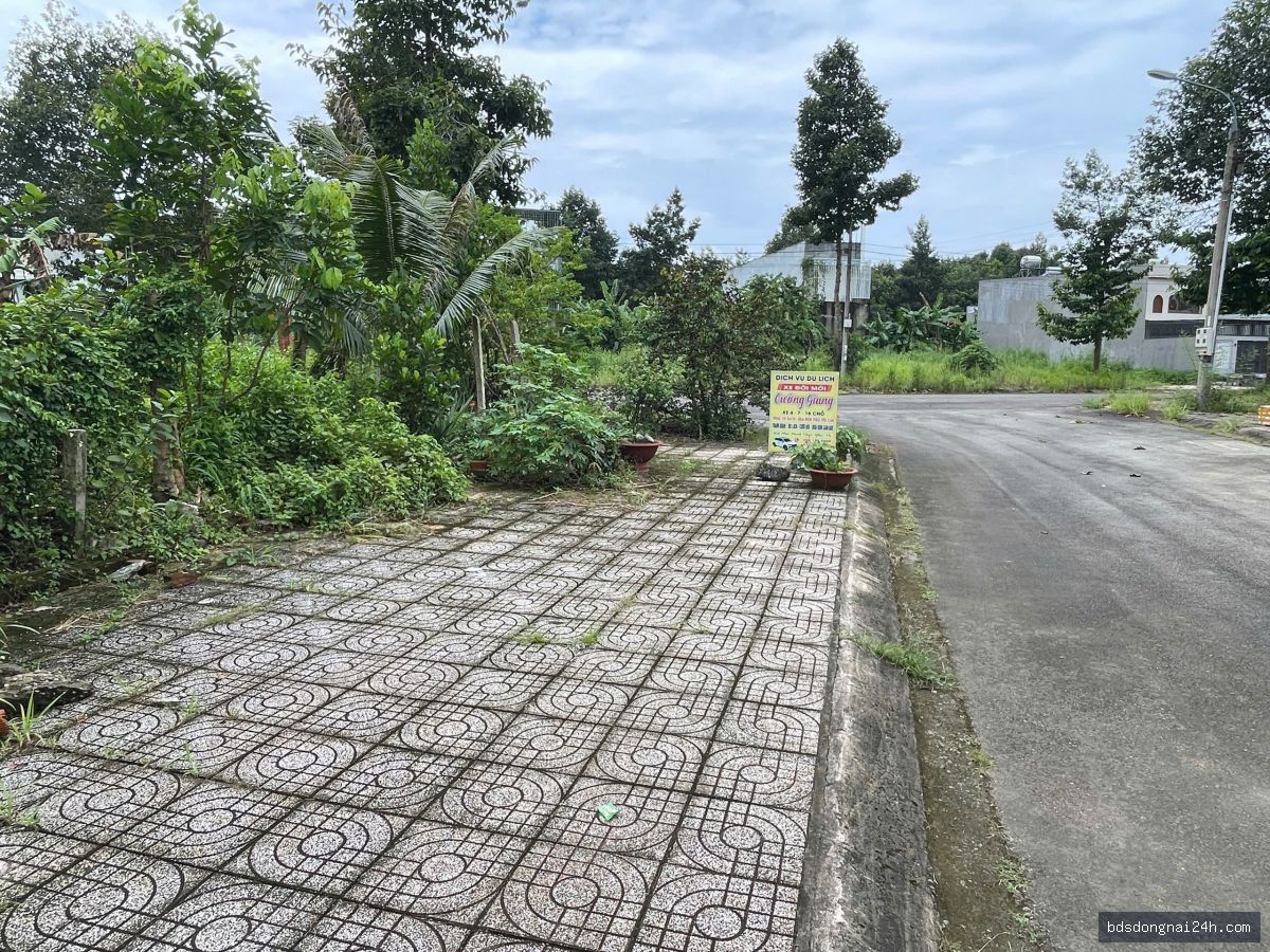 Bán đất nền (110m²) - Hình ảnh 5