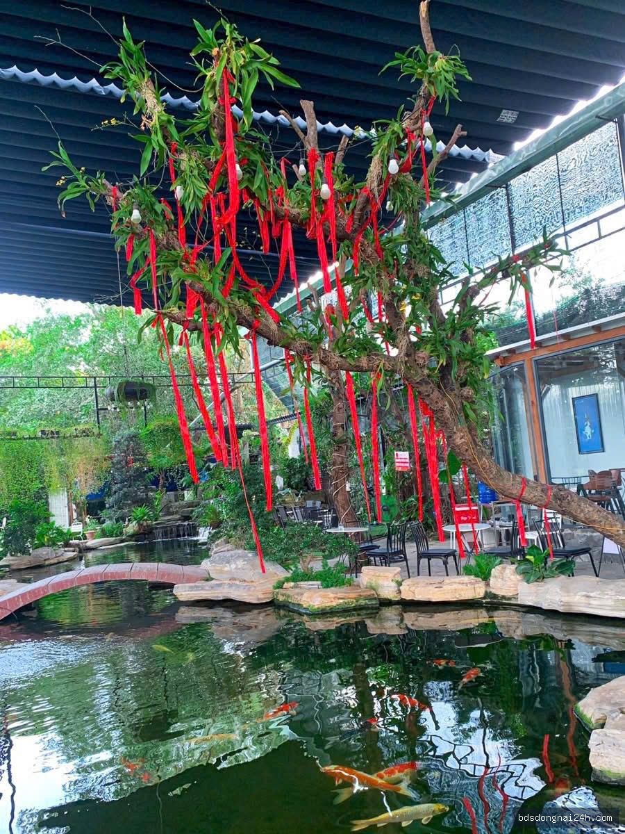 Cho thuê mặt bằng kinh doanh tại Quyết Thắng, Biên Hòa (1600m2) - Hình ảnh 4