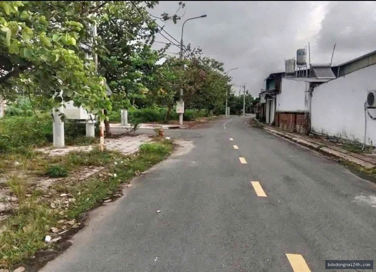 Nổi bật