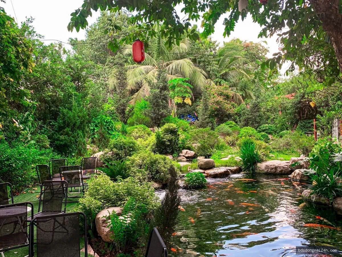 Cho thuê mặt bằng kinh doanh tại Quyết Thắng, Biên Hòa (1600m2) - Hình ảnh 2