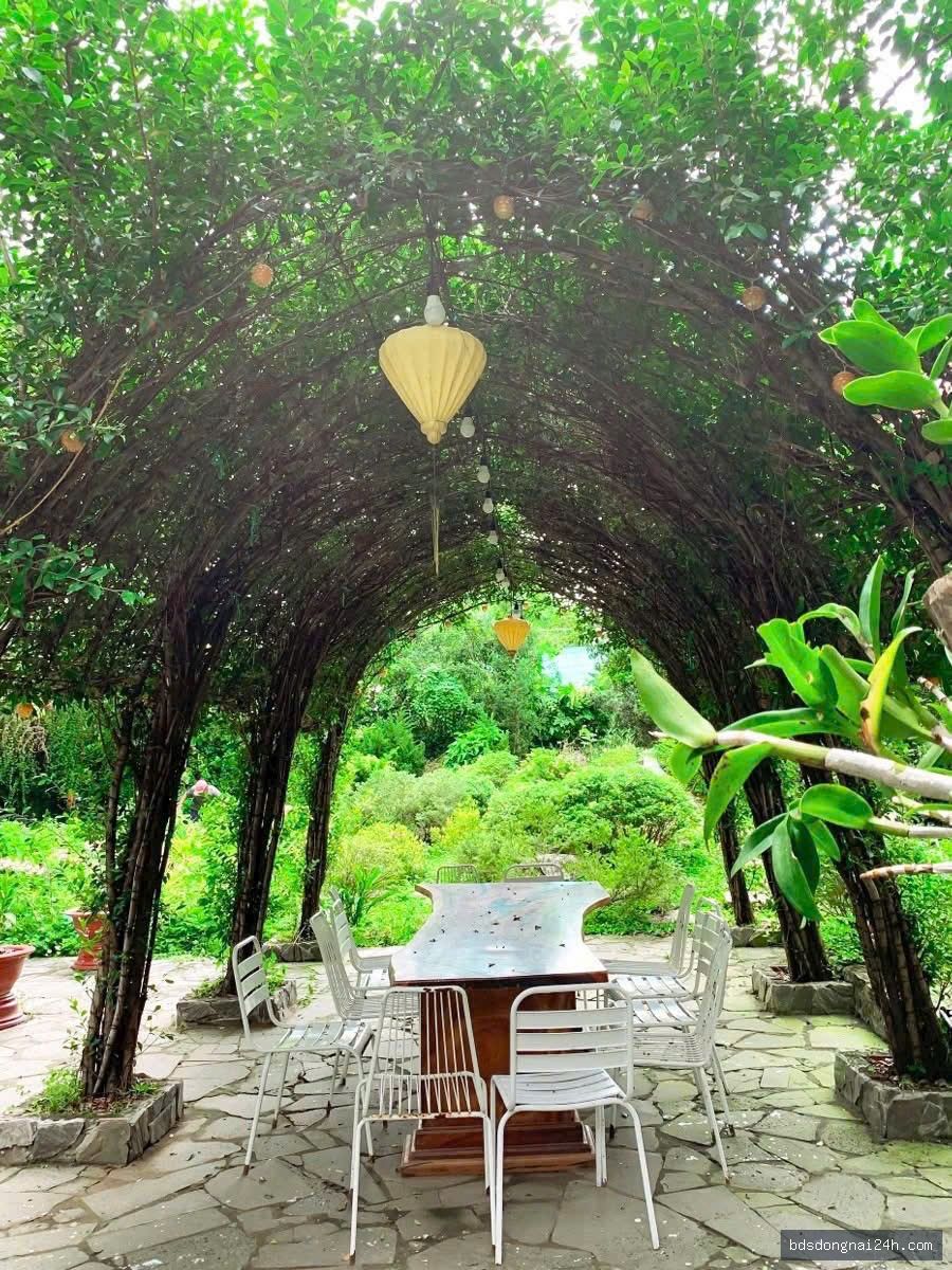 Nổi bật