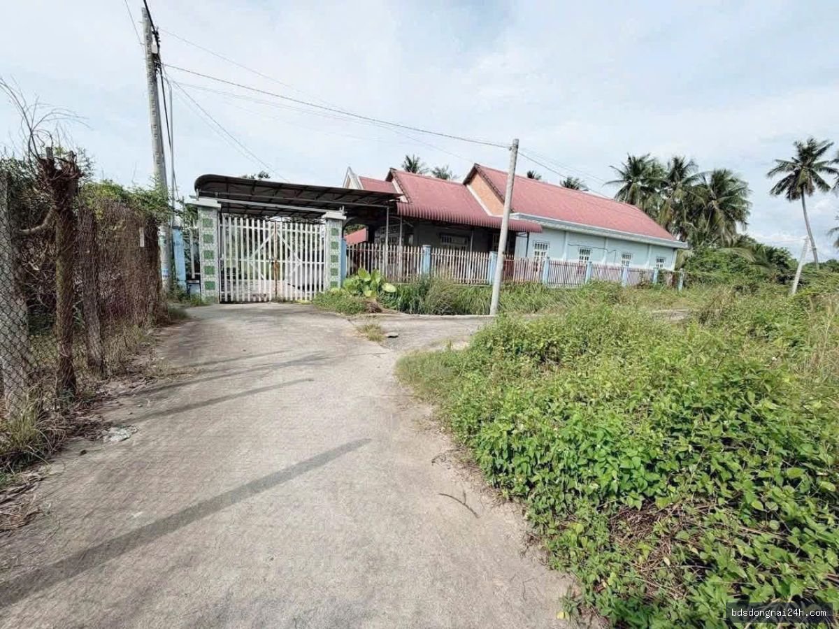 Bán đất nền tại Nhơn Trạch (290m²) - Hình ảnh 2