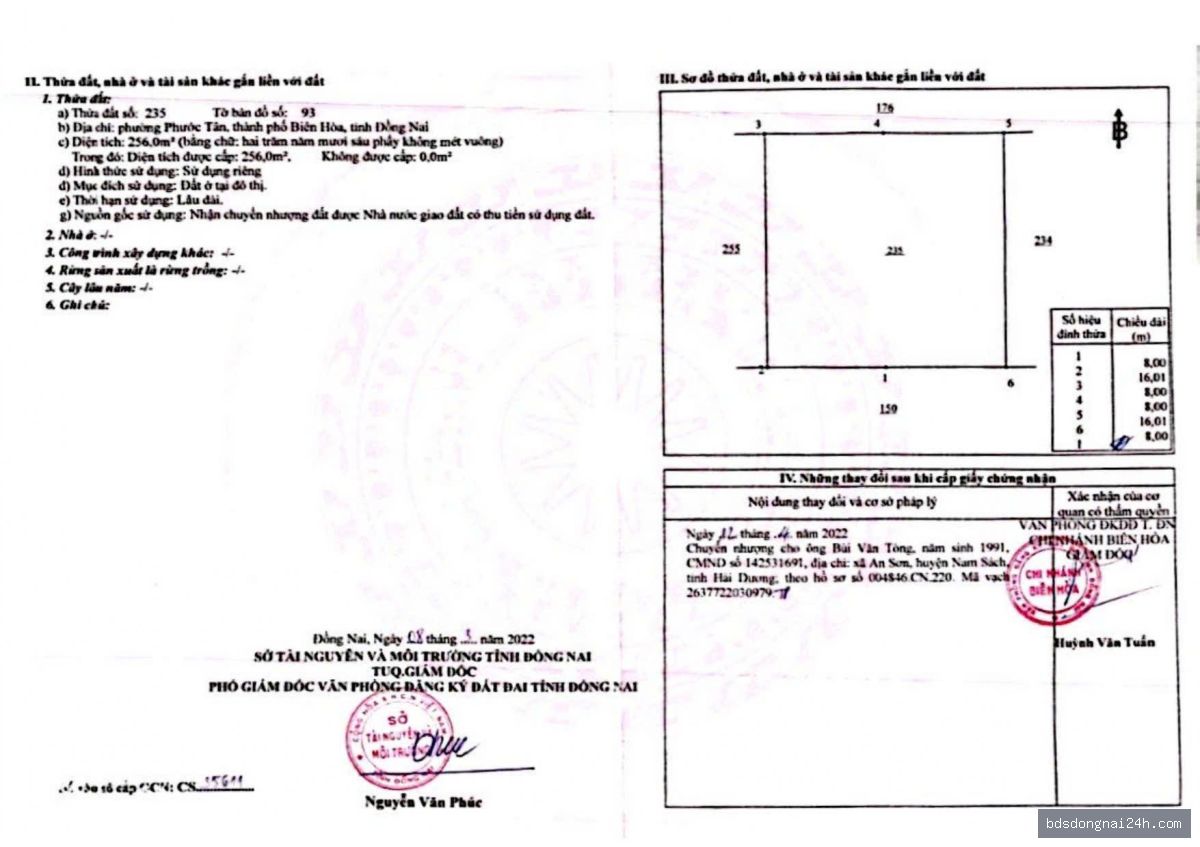 Bán đất nền mặt tiền tại Long Thành (256m²) - Hình ảnh 6