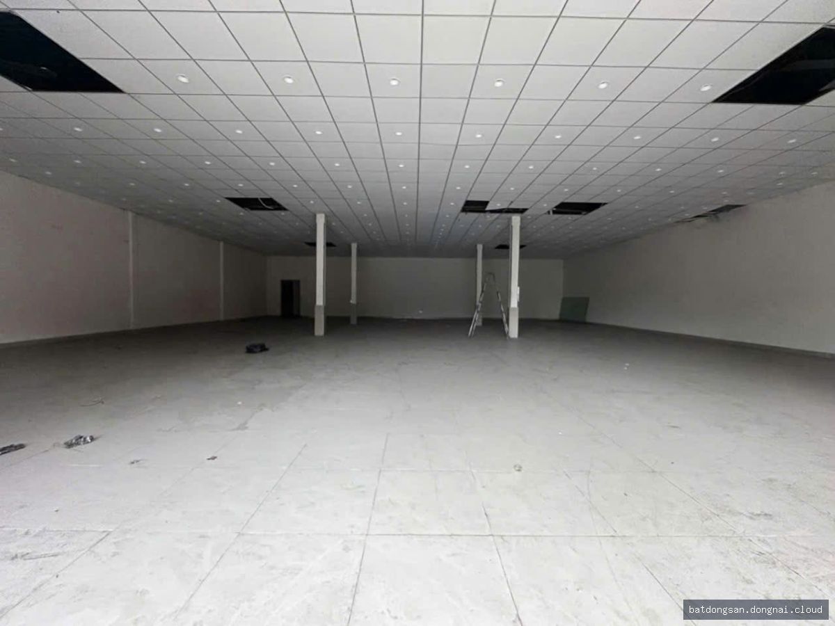 Cho thuê kho xưởng mặt tiền (650m2)