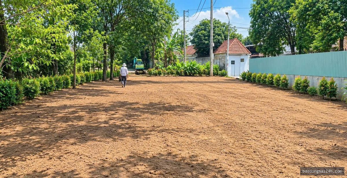 Bán kho xưởng mặt tiền (1417.5m²) - Hình ảnh 3