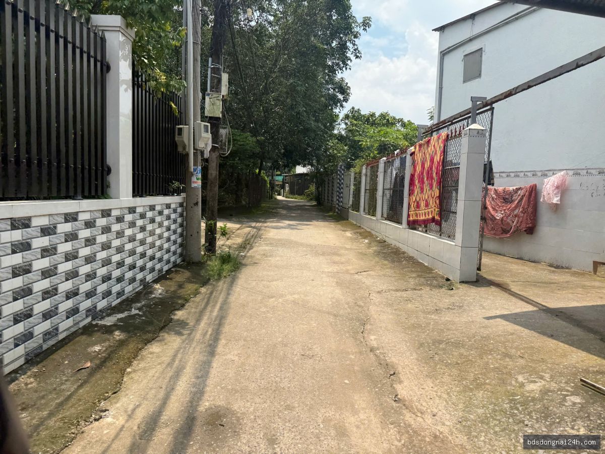 Bán biệt thự - Hình ảnh 3