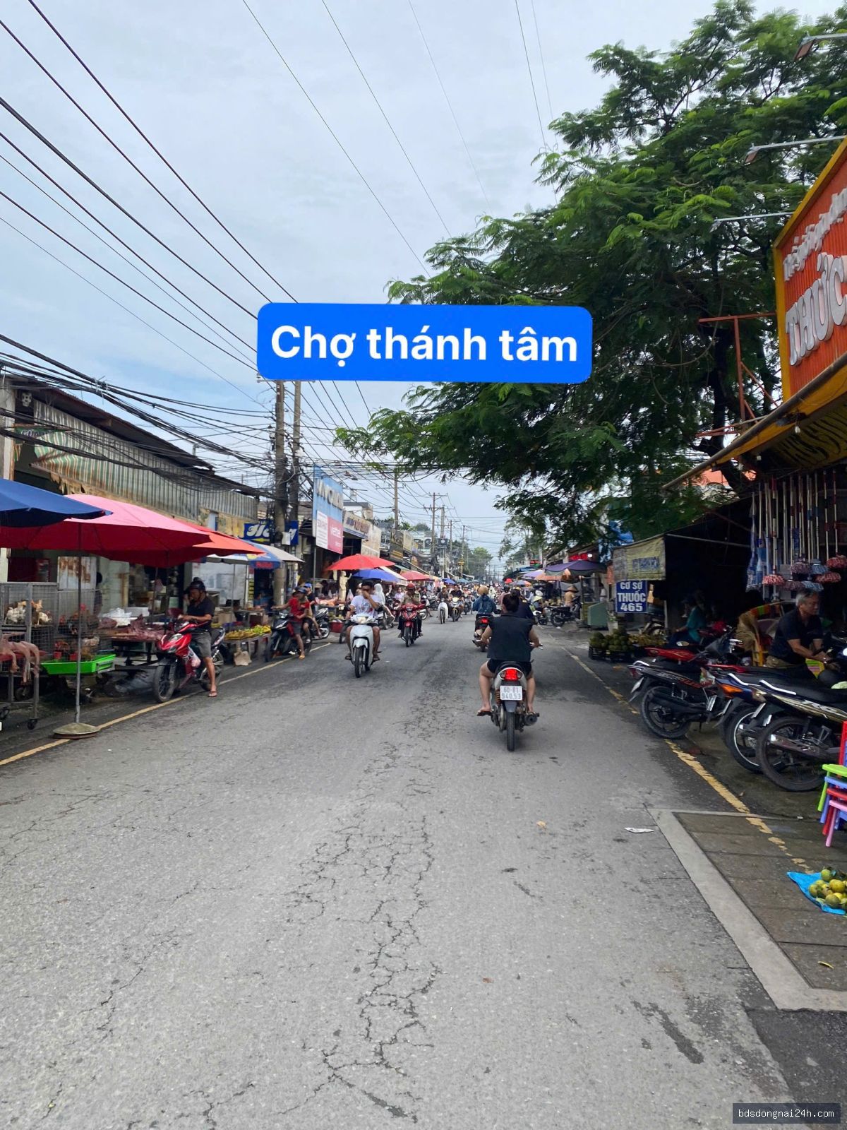 Bán đất thổ cư 100%, mặt tiền tại Hố Nai, Biên Hòa (88m²) - Hình ảnh 2
