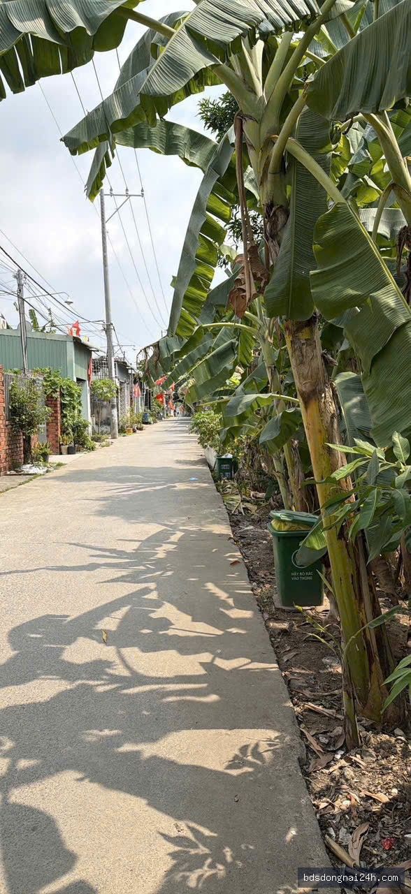 Bán đất nền (100m²)