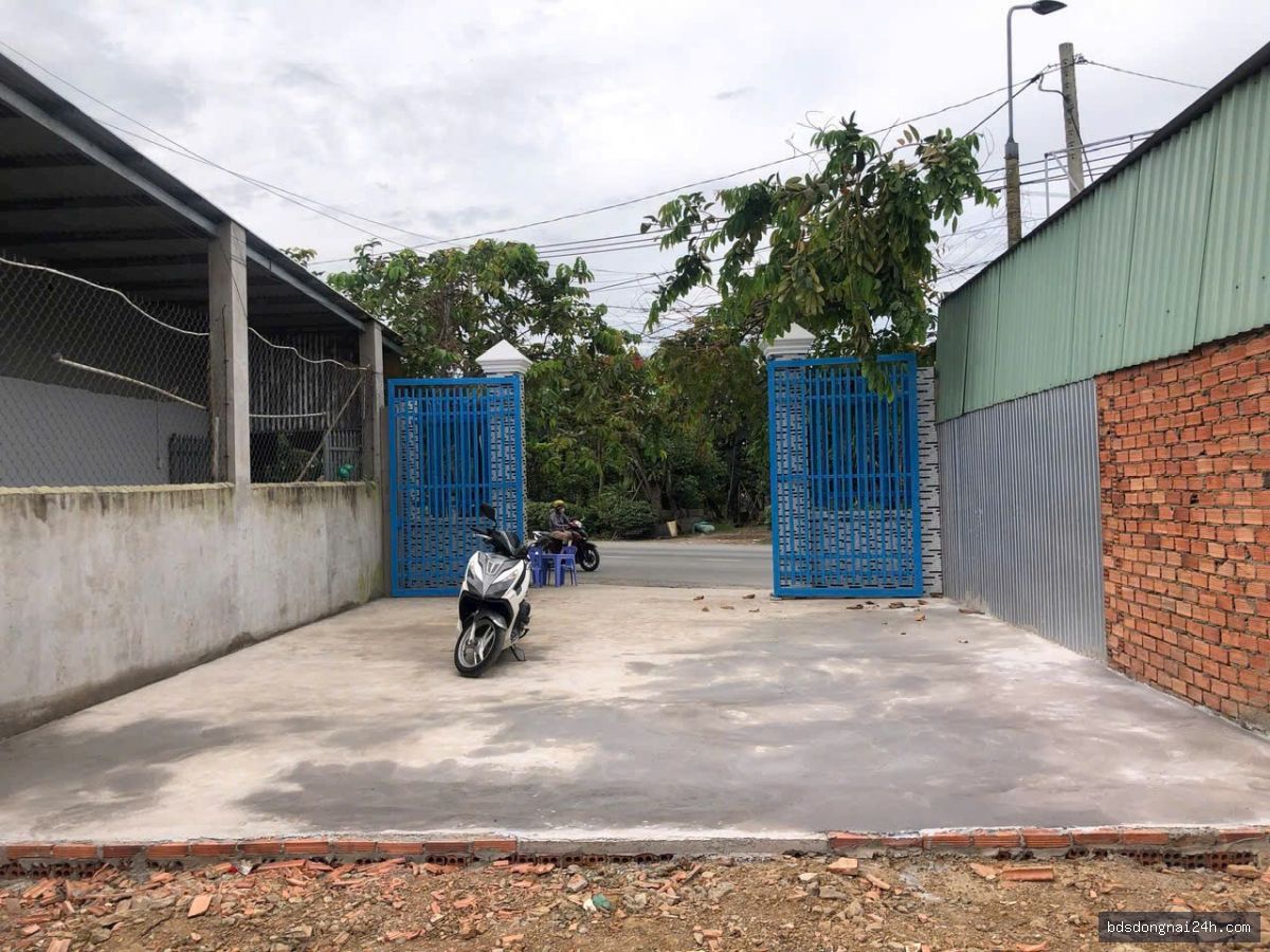 Bán đất nền tại Tân Triều - Hình ảnh 2
