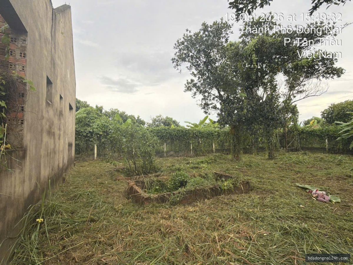 Bán bất động sản tại Tân Triều (1000m2) - Hình ảnh 4