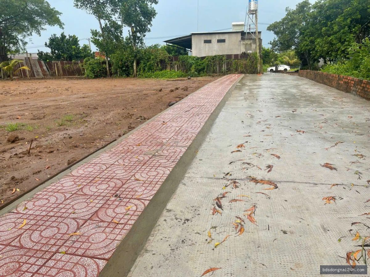 Bán đất thổ cư 100% gần chợ tại Long Thành (125m2) - Hình ảnh 5