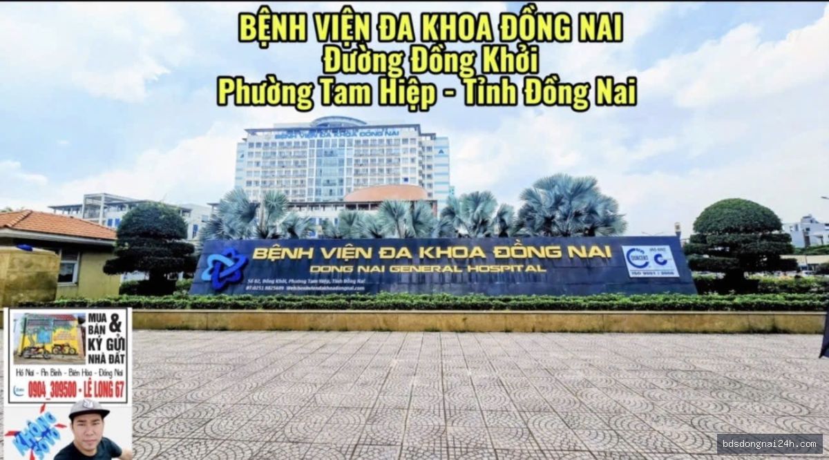 Nổi bật