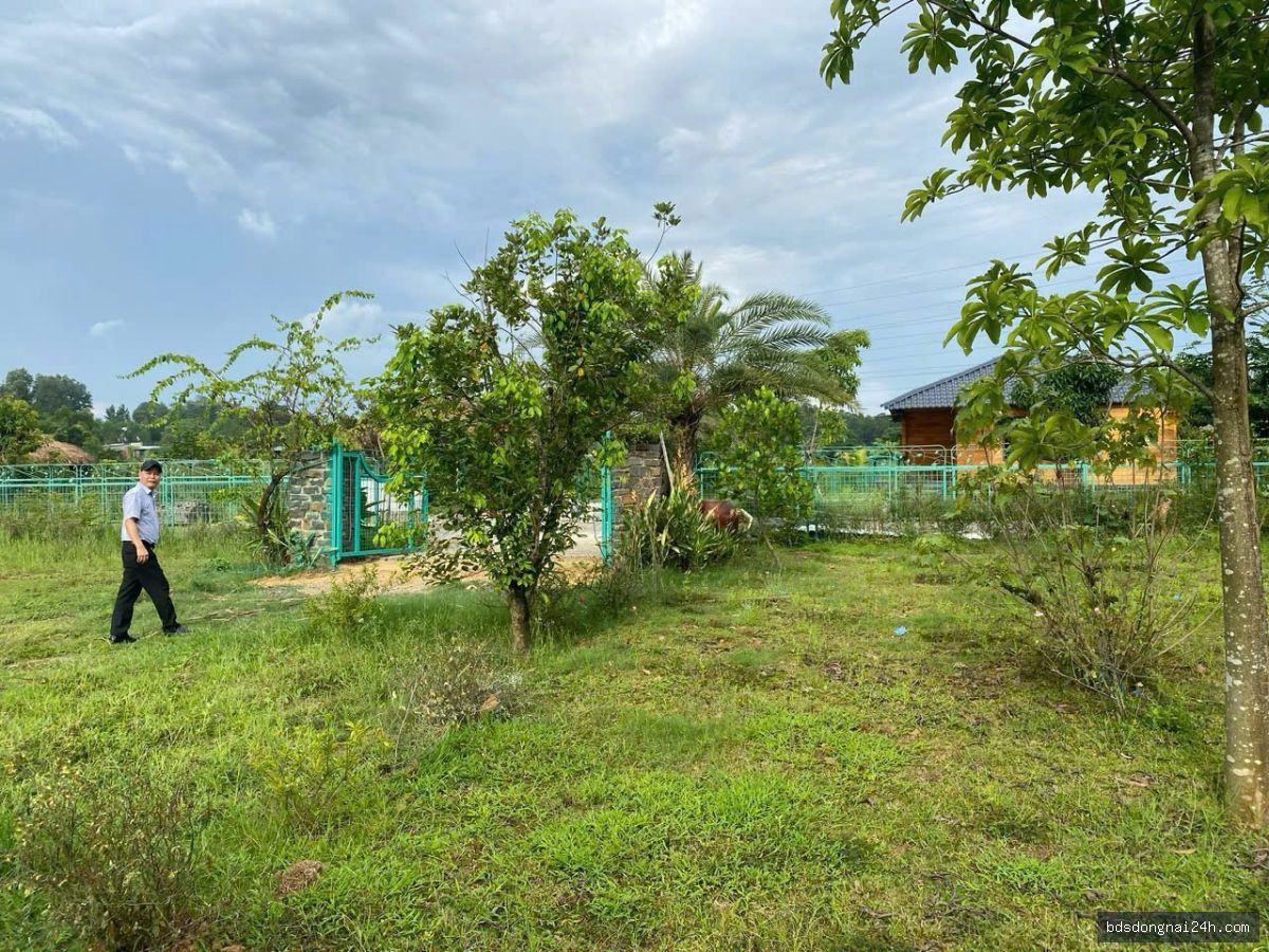Bán biệt thự tại Vĩnh Cửu (1216m²) - Hình ảnh 7