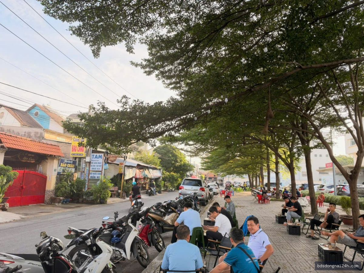 Nổi bật