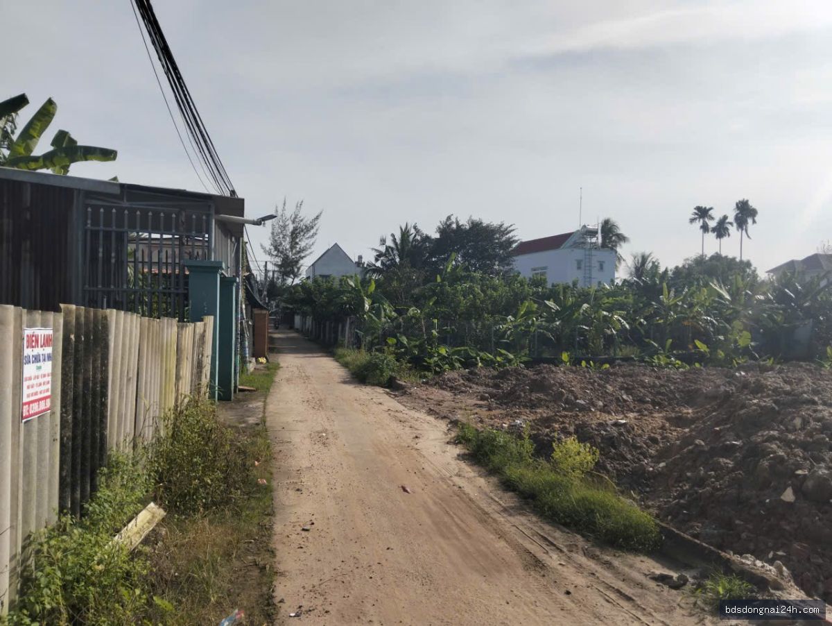Bán đất nền, gần chợ tại Nhơn Trạch (300m²) - Hình ảnh 4