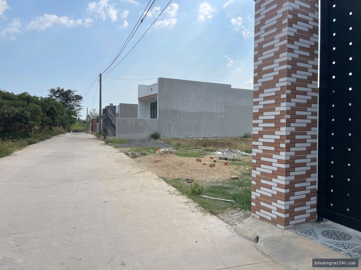 Bán đất nền gần chợ (105m²) - Hình ảnh 5