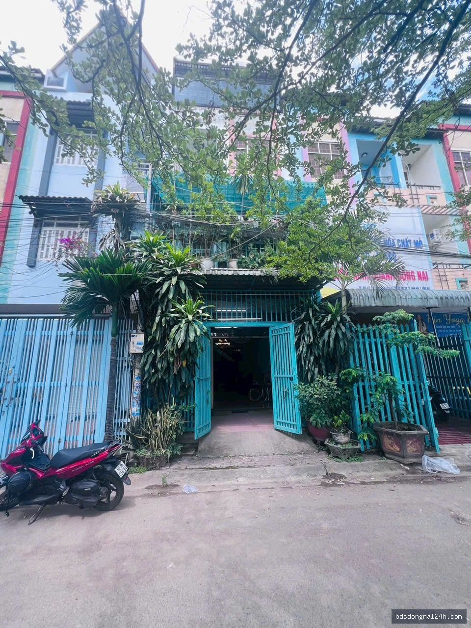 Hình ảnh bất động sản