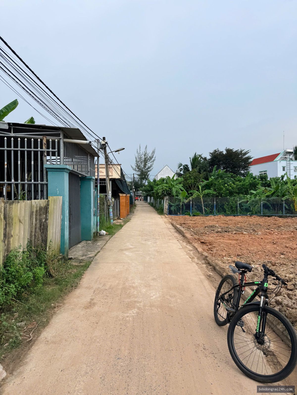 Nổi bật