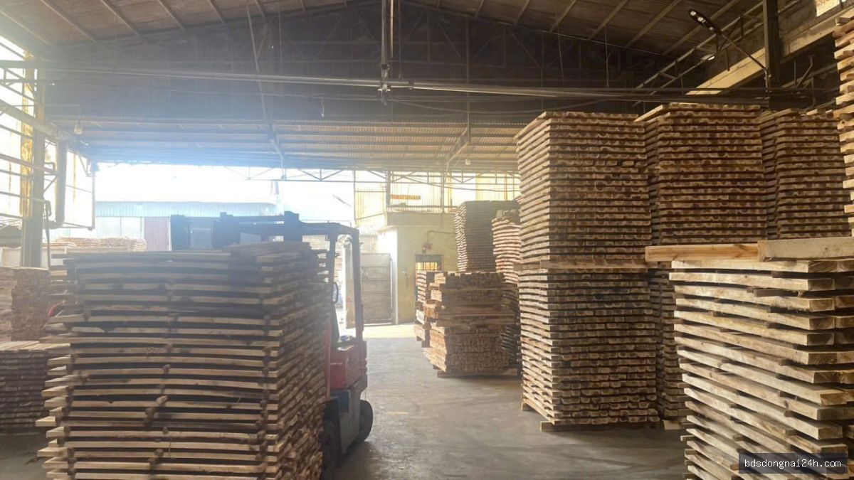 Cho thuê kho xưởng tại Hố Nai, Biên Hòa (5300m2) - Hình ảnh 6